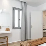 Naxos Anamnisi Lejlighedshotel